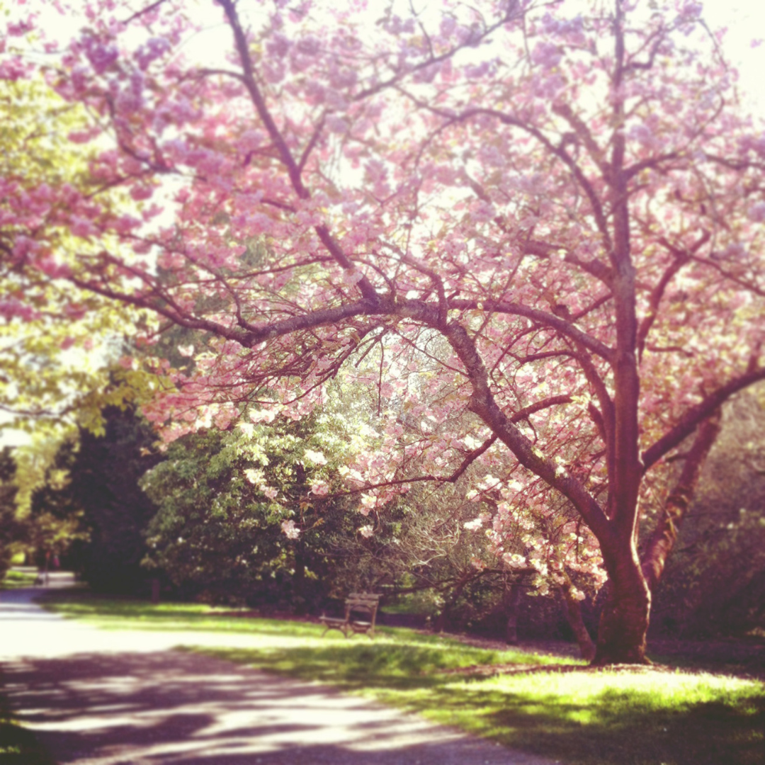 Frühling